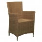 Korbsessel Polyrattan Aluminium Hellbraun